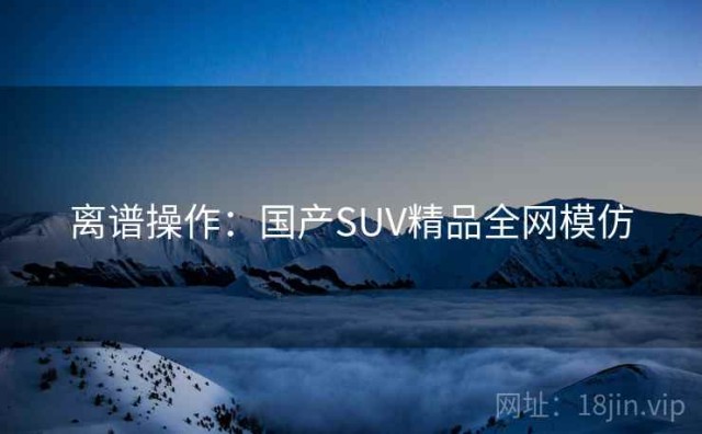 离谱操作：国产SUV精品全网模仿