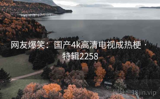 网友爆笑：国产4k高清电视成热梗 · 特辑2258