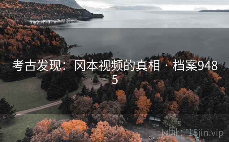 考古发现：冈本视频的真相 · 档案9485