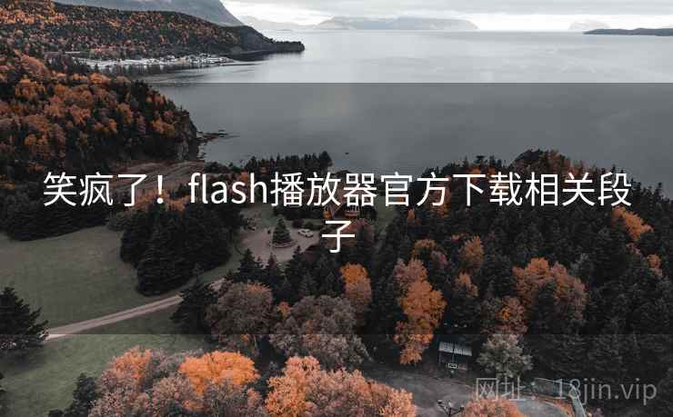 笑疯了！flash播放器官方下载相关段子