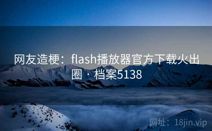 网友造梗：flash播放器官方下载火出圈 · 档案5138